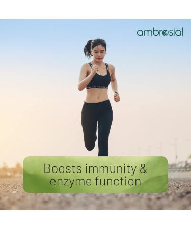 Ambrosial Zinc Tablets High Strength 30 mg (Pack of 2-120 Capsules) 60 Count (Pack of 2) - Buy Online on GoSupps.com