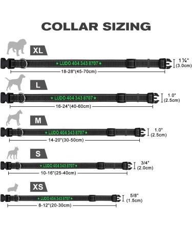 Buy Tagme Personalized Dog Collar for Small Dogs | Embroidered Reflective Nylon with Pet Name & Phone Number - Black XS (1 Pack) - Buy Online on GoSupps.com
