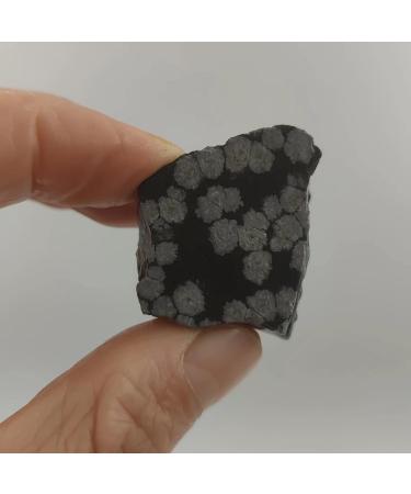 1pc 20-30mm Natural Snowflake Obsidian Raw Stone Rough Quartz Crystal Gemstone Mineral Specimen Home Decoration 2-3cm 1pc Random Snowflake Obsidian - Buy Online on GoSupps.com