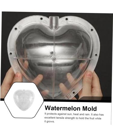 OSALADI Square Tool Strawberry Tool Garden Shaping Molds Fruit Shaping Molds Tool Vegetable Heart-Shaped 17x17cm Transparent - Buy Online on GoSupps.com