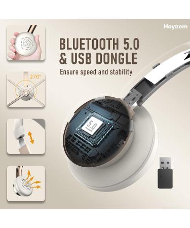 Wireless Bluetooth Headset with Noise Canceling Microphone - Trucker Headset for Office Work & Conference Calls - Buy Online on GoSupps.com