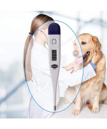 Digital Vets Thermometer For Pet Owners of Dogs Cats Horses Animals With FREE Veterinary Hobday's Spec Chart - Buy Online on GoSupps.com