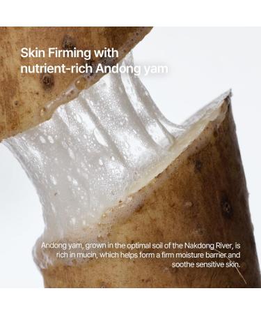 Parnell Bakuchiol & Friming Serum with Wild Yam 2.12% Concentrate (1.01 fl.oz) | Plant-Based Anti-Aging & Firming Treatment for Smoother Youthful Skin | K-Beauty - Buy Online on GoSupps.com