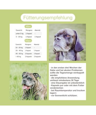 Canimove Spar-Set for Dogs: Cardio & Senior Mini Supplements (100 Capsules) | Veterinary Formula for Heart & Eye/Brain Disorders - Buy Online on GoSupps.com