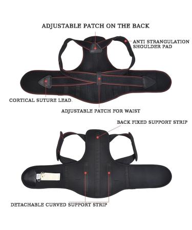 Adjustable Posture Corrector Belt | Back Support & Lumbar Brace for Hunchback & Scoliosis | Men Women & Adults (L) - Black - Buy Online on GoSupps.com