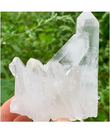 Natural Rare White Quartz (Size : 380g-400g) (Size : 280g-300g) - Buy Online on GoSupps.com
