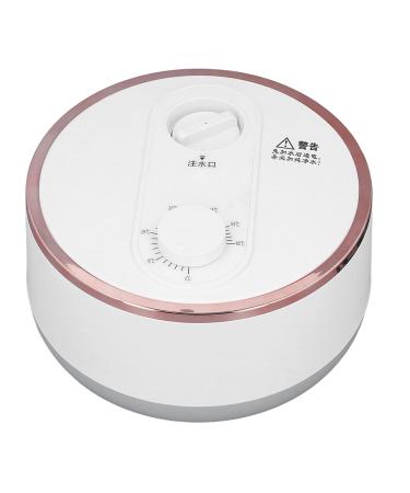 Water-Heated Electric Mattress Pad Bed Warmer with Intelligent Thermostat | 220V EU Connector | High Efficiency & Mechanical Control - Buy Online on GoSupps.com