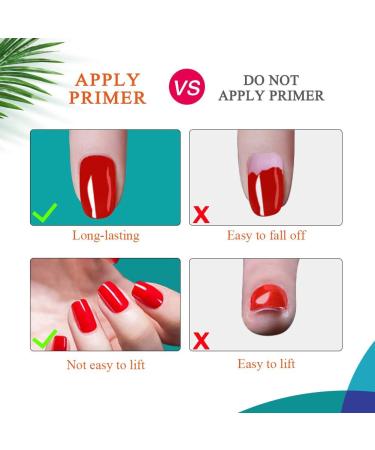 Morovan Professional Nail Prep Dehydrate & Acid-Free Primer Set (2-Pack) - Fast Dry, Superior Bonding Agent for Acrylic, Gel, UV Gels - Non Acid Formula - 0.5 Fl Oz - Gift Box Included - Buy Online on GoSupps.com