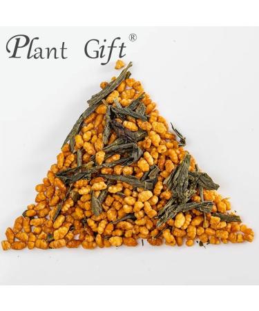 100% Pure Natural Herbal Tea Genmaicha Tea Bag 250g/8.81oz (5g*50bags) th Wang Mi sans additifs sans OGM - Buy Online on GoSupps.com