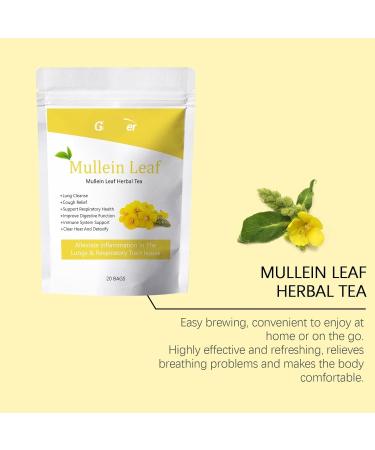 Sachets De Tisane Purifiante La Feuille Mol ne for Une Meilleure Fonction Pulmonaire. Th rapie Naturelle Le Corps Rafra chissante Et Facile Pr parer.(2PCS) - Buy Online on GoSupps.com