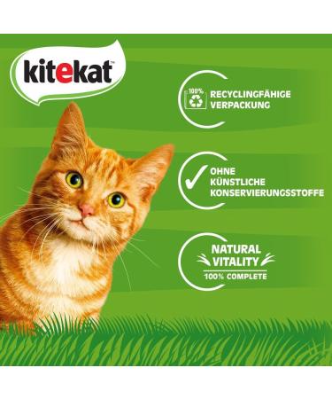 Kitekat Wet Cat Food in Jelly - 48 Portion Bags (2 x 24 x 85g) - Premium International Shipping - Buy Online on GoSupps.com
