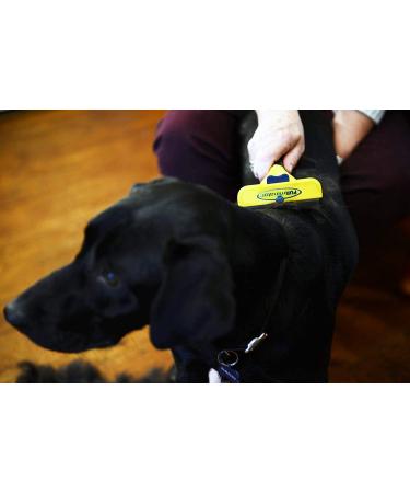 FURminator De-Shedding Tool for Large Dogs - Version 1.0 - 1 Count - Buy Online on GoSupps.com