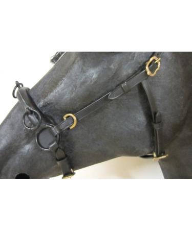 Buy PS Horse French Cavesson Cavecon with D-Rings - Soft Full Brown with Gold Fittings | International Shipping Available - Buy Online on GoSupps.com