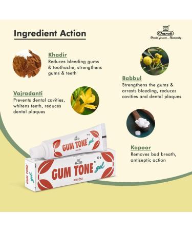 Charak Pharma Gumtone Gel 50g | Effective Solution for Mouth & Tooth Problems | International Shipping Available - Buy Online on GoSupps.com