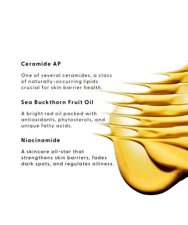 Stratia Lipid Gold | Skin-Strengthening Moisturizer with Ceramides & Niacinamide | Hydrate & Soothe All Skin Types | 3.4 Fl Oz | International Shipping - Buy Online on GoSupps.com