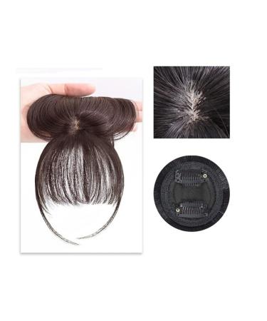 Bangs Clip in Bangs Front Synthetic 3D Air Fringe Bangs Clip in Bang Hair Extensions Straight Synthetic Hairpiece Soft Natural Hair Accessories For Women Girl for Women Curved Bangs for Daily Wear ( 1 PC C-3(2M33)