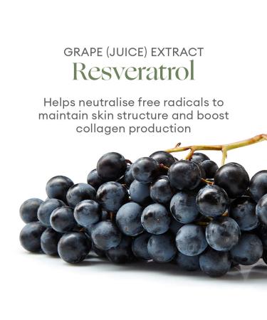 Buy INIKA Organic Phytofuse Renew Resveratrol Night Cream | Vegan Non-Toxic Beauty | 1.7 oz (50 mL) - International Shipping Available - Buy Online on GoSupps.com