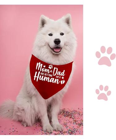 JXGZSO 1 Piece Pregnancy Announcement Dog Bandana Baby Announcement Pregnancy Reveal Gift (Mom & Dad are GETTING CA) - Buy Online on GoSupps.com