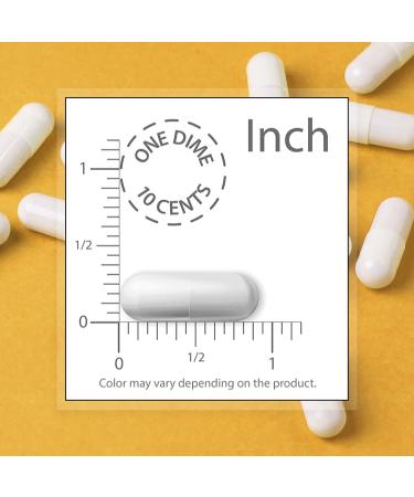Supersmart - Daily 6 - Powerful Mutlivitamin Formula with 55 Ingredients (with PQQ, Nicotinamide Riboside) - Support Healthy Cardiovascular System | Non-GMO & Gluten Free - 180 Vegetarian Capsules - Buy Online on GoSupps.com