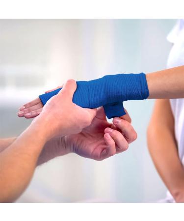Pack of 12 Vet Wraps - Gauze Rolls - Cohesive Bandage - Bandage Wrap for Animals Assorted Colours 3 inches x 66.9 inches - Buy Online on GoSupps.com