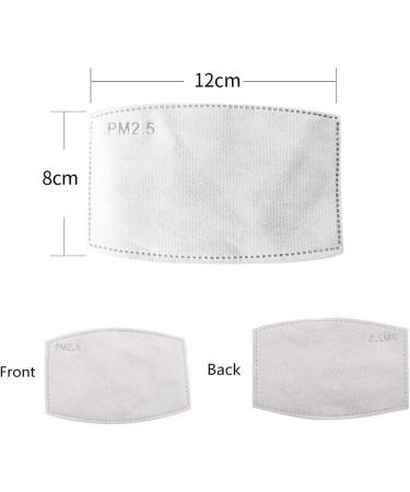 100 PCS PM2.5 Activated Carbon Filters - Replaceable High-Quality Filters - Buy Online on GoSupps.com