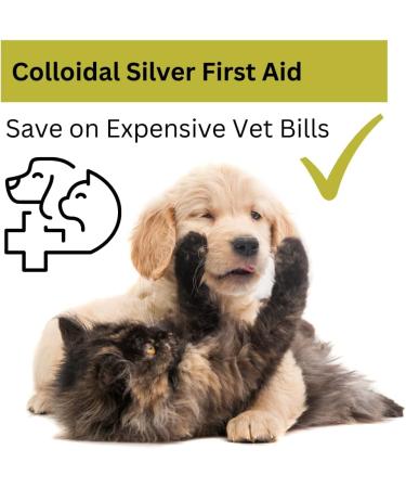 Nature's Greatest Secret Antibacterial Soothing Premium Quality Colloidal Silver Petcare Cream 100g - Buy Online on GoSupps.com