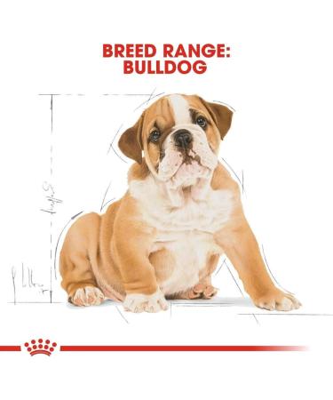 Royal Canin Dog Food Bulldog Puppy 12Kg - Buy Online on GoSupps.com