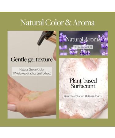 D'alba Piedmont White Truffle Mild Skin Balancing Vegan Cleanser Toner and Cream Bundle (200ml 150ml 55ml) - Buy Online on GoSupps.com