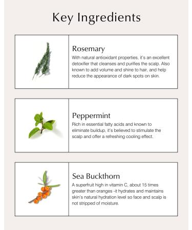 John Masters Organics Conditioner for Fine Hair | Rosemary & Peppermint Best Organic Hair Care for Volume & Shine - Buy Online on GoSupps.com