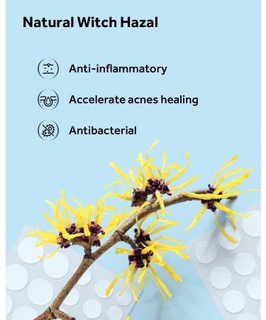 LitBear Acne Pimple Patches - Day and Night Set | 180 Dots with Witch Hazel, Tea Tree & Calendula Oil | Extra Adhesion for Face | Zit Patch AM + PM - Buy Online on GoSupps.com