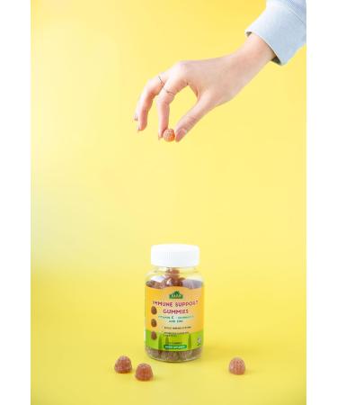 ALFA VITAMINS Immune Support Gummies with Vitamin C Plus Zinc & Echinacea - Daily Immune Support Booster for Adults - Orange Flavor - 60 Gummies - Buy Online on GoSupps.com