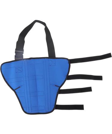 Tbest Pet Productog Right Rear Leg Hock Brace Dog Hind Leg Brace Prevents Injuries and Prdes Stability with Port Sp Reflective Sp Do Prot (S) - Buy Online on GoSupps.com