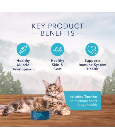 Blue Buffalo Wilderness High Protein Grain Free Natural Adult Dry Cat Food Salmon 2.2kg bag - Medium Bag kibble Small Bag Salmon - Buy Online on GoSupps.com