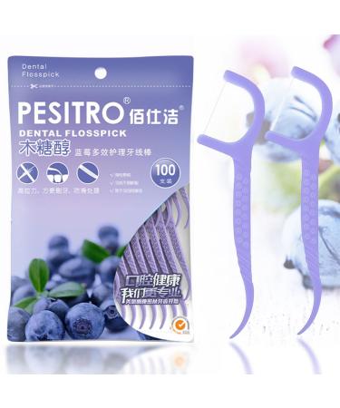 100 Pcs Dental Floss Picks 2 in 1 Portable Floss Sticks Disposable Dental Floss Interdental Floss Sticks for Effective Tooth Cleaning for Travel Home Office Restaurant (Blueberry Flavor)