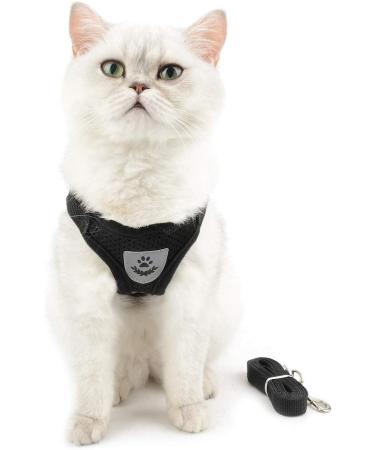 Ranphy Breakproof Cat Dishes & Reflective Chest Harness for Small Cats - Durable Soft Fabric Ideal for Puppies - Black (34 cm) - Buy Online on GoSupps.com