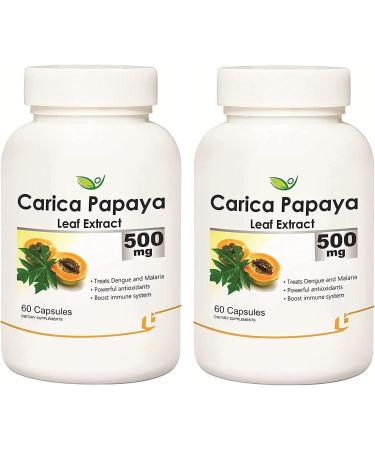 Saheli Biotrex Nutraceuticals Carica Papaya Leaf Extract Powerful Anti-oxidants (500 mg 60 Capsules)- Pack of 2