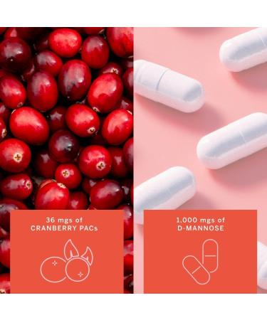 Gemma Stay On Tract Cranberry Supplement - Urinary Tract Support for Women - 36mg of Cranberry PACs and 1 000mg of D-Mannose 60 Count (Pack of 1) - Buy Online on GoSupps.com