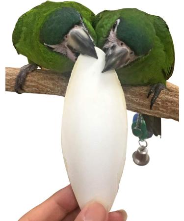 6 Bulk Cuttlebone for Cockatiels, Parakeets, Budgies, Finches, Canaries, Lovebirds, Conures, Mynahs, Toucans, African Greys - 4lbs | Birds LOVE - Buy Online on GoSupps.com