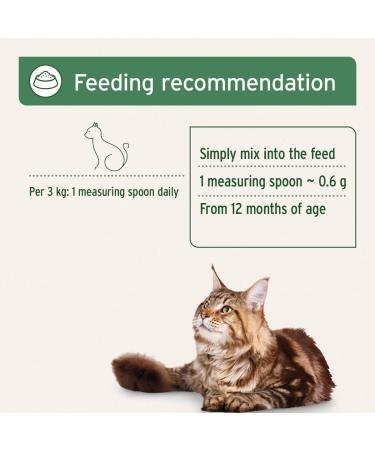 AniForte Complete Powder for Raw Food 100g - Barf Complete Food for Cats - Buy Online on GoSupps.com