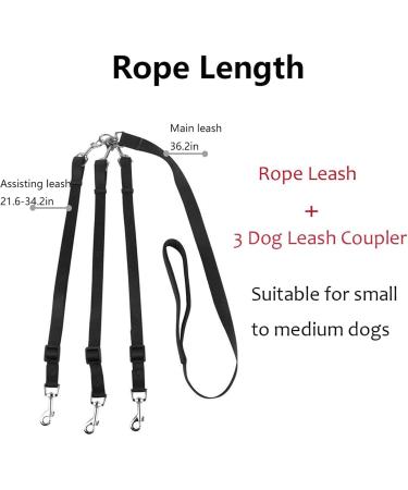 ASOCEA 3 Dog Leash 3 in 1 Multiple Dog Leash Detachable 360 Swivel with Soft Padded Handle for Walking and Traning Two or Three Dog Leash(Black) - Buy Online on GoSupps.com