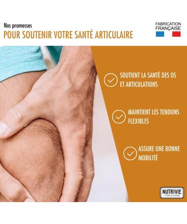 Organic Turmeric - 60 Capsules - Vegan Organic - NUTRIVIE - Made in France - Buy Online on GoSupps.com