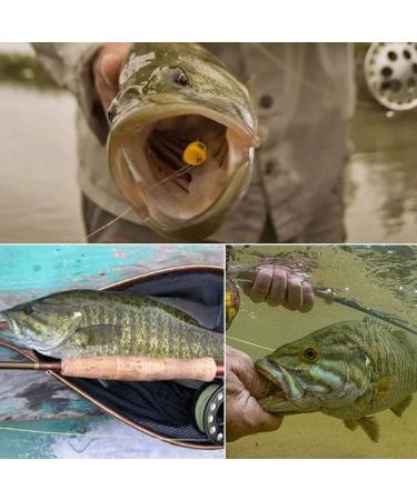 15-Piece Fly Fishing Kit | Nymphs for Bass & Pike | Includes Storage Box for Mandarin Fish & Perch Accessories - Buy Online on GoSupps.com