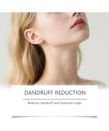  ZLHHRZJX Ginger hair care shampoo against hair loss and dandruff ginger shampoo against hair loss improves split ends regulates the production of - Buy Online on GoSupps.com