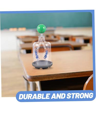 SOLUSTRE Lung Breathing Model - Human Body Organs Teaching Aid - Buy Online on GoSupps.com