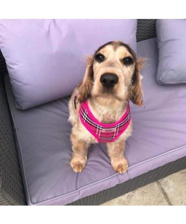 Bunty Tartan Small Dog Harness - Adjustable No Pull Puppy Harness for Small Dogs - Soft, Breathable, Anti-Pull - Red - Buy Online on GoSupps.com