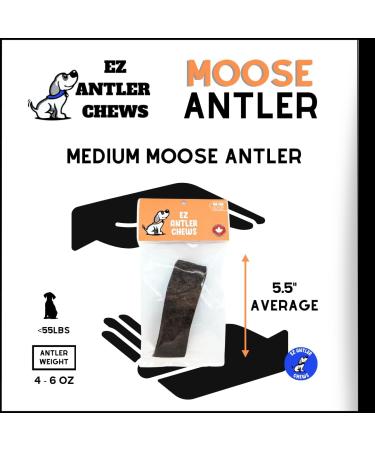 EZ Antler Chews - Moose Antlers for Dogs - Medium Whole - Dogs under 55lbs - Long Lasting Dog Treats Dog Chews - Marrow Bone Dog Treats - Naturally Shed -Preservative Free Cruelty Free Antler Dog Chew - Buy Online on GoSupps.com