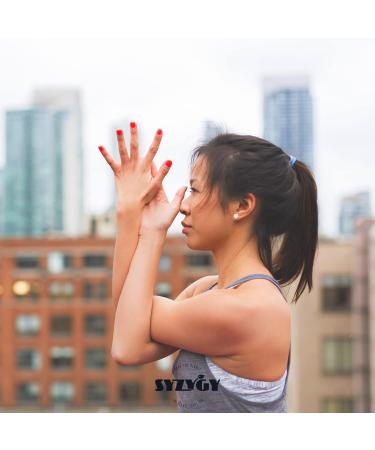 SYZYGY FOOD | Certified Organic Chlorella and Spirulina | 300 Tablets of 500mg | DETOX - Vegan - Rassasizing Plant Protein | Vitamins - Minerals - Iron | Certified Organic - Buy Online on GoSupps.com