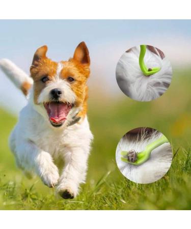 BHOW MEOW Tick Remover Tools 2PCS Set - Ideal for Dogs, Cats, Horses, and Humans - Long 3XL Size with Perfect Grip - Buy Online on GoSupps.com