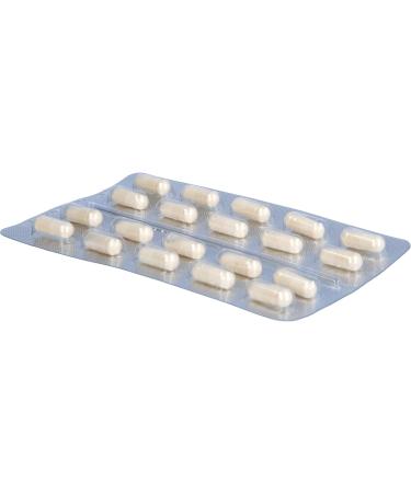 Buy Doloctan Forte Capsules Online | Fast International Shipping & Best Prices - Buy Online on GoSupps.com