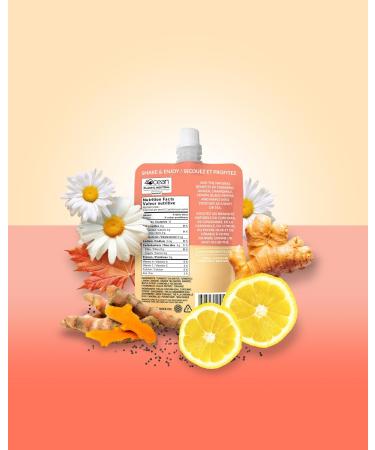 goodvibes juice co. Turmeric Daily | Natural Wellness Shot | Turmeric Black Pepper Ginger Chamomile Lemon Maple | Antioxidants Anti-Inflammatory Immunity | Vegan Gluten Free | 50mL Pouch (Pack of 2) 50 ml (Pack of 2) - Buy Online on GoSupps.com